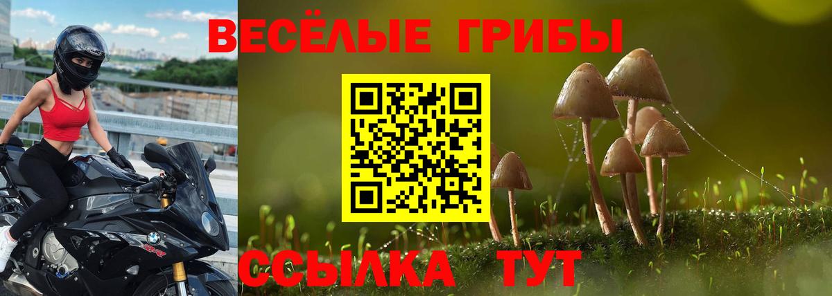 Избербаш  Псилоцибиновые грибы MAGIC MUSHROOMS  Вход с VPN 