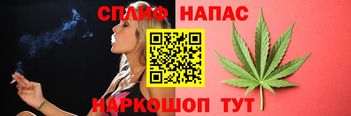 Каннабис сатива Избербаш